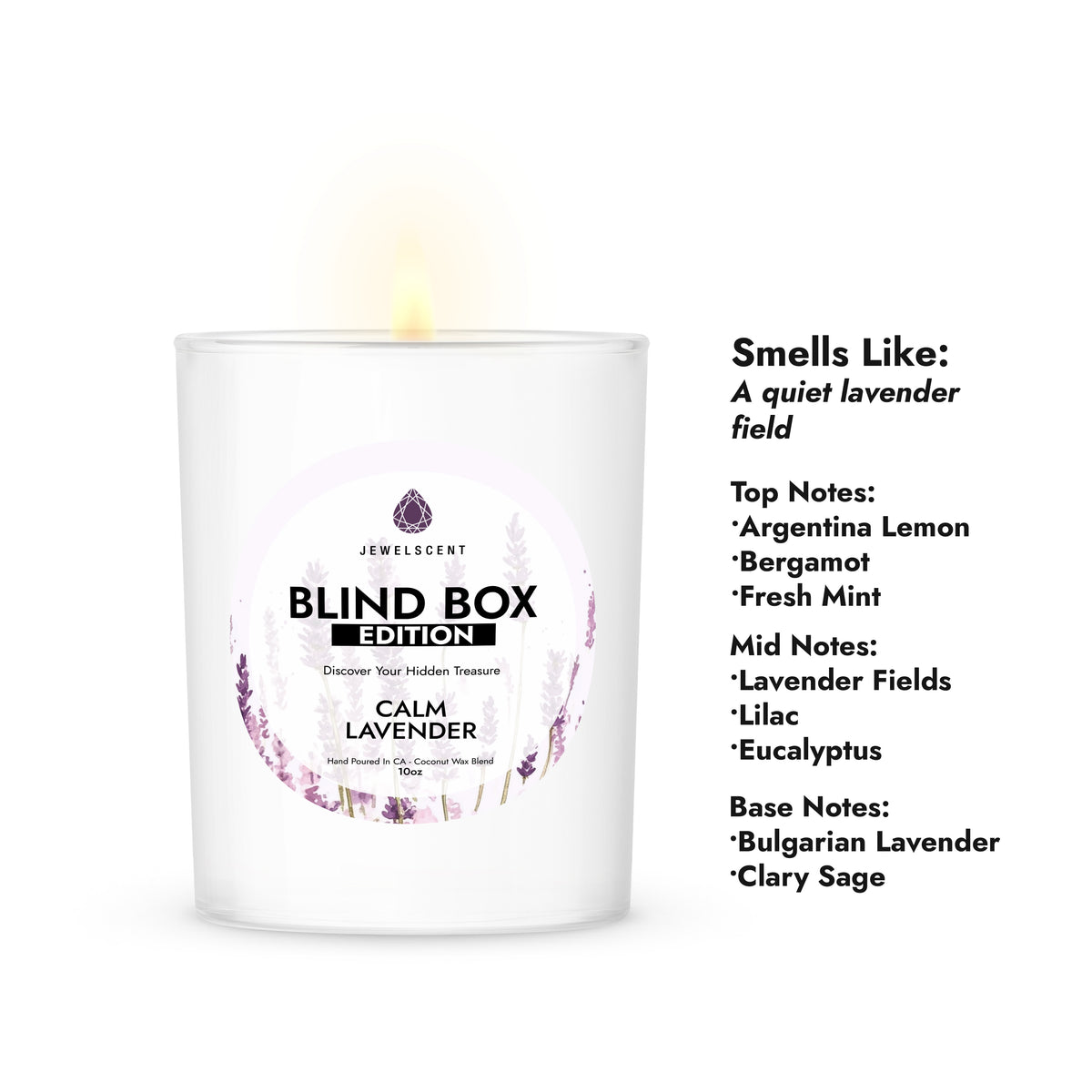 10oz Blind Box Jewelry Candle