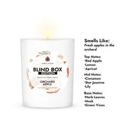 10oz Blind Box Jewelry Candle