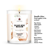 18oz Blind Box Jewelry Candle