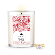 Orchard Apple 18oz Home Jewelry Candle